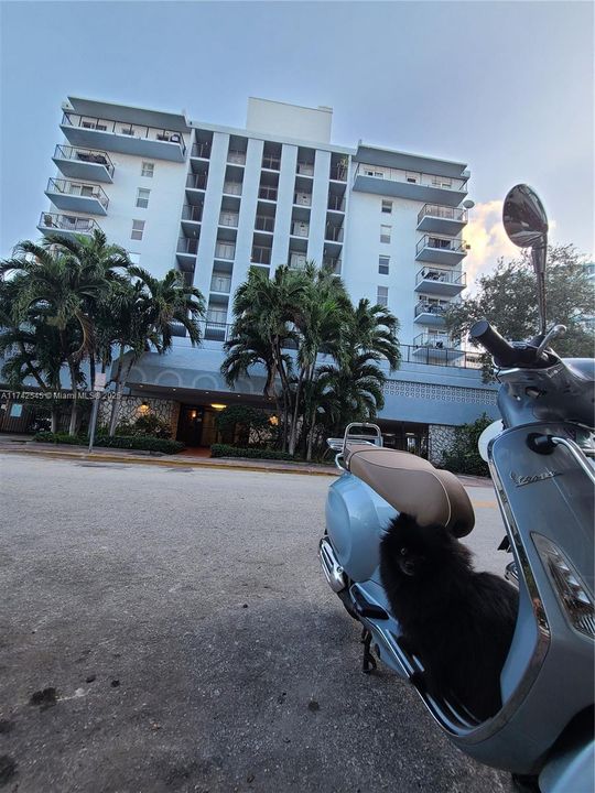 最近售出: $275,000 (1 贝兹, 1 浴室, 620 平方英尺)