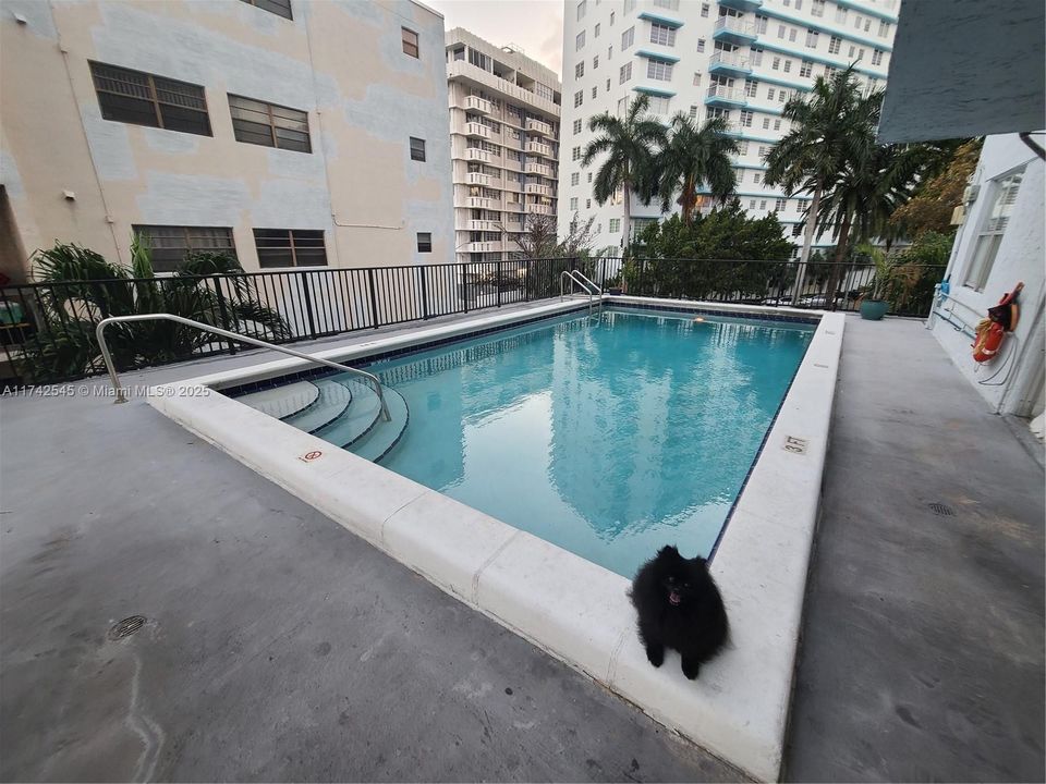 最近售出: $275,000 (1 贝兹, 1 浴室, 620 平方英尺)