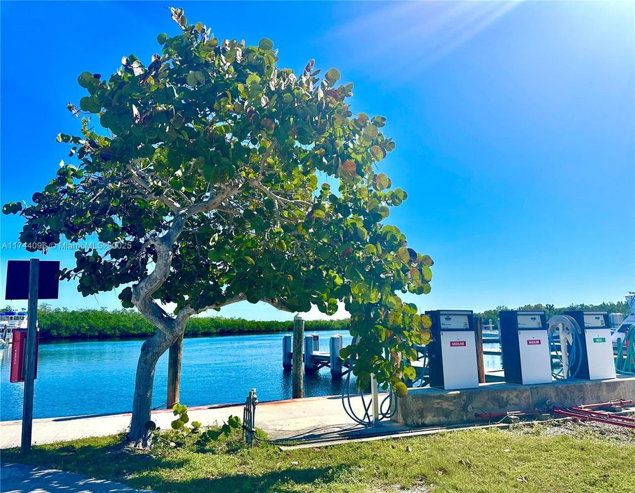 最近租的: $3,300 (3 贝兹, 2 浴室, 1296 平方英尺)