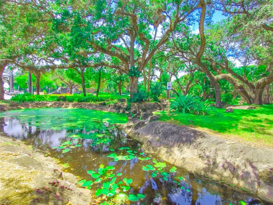 For Sale: $94,900 (1 beds, 1 baths, 783 Square Feet)