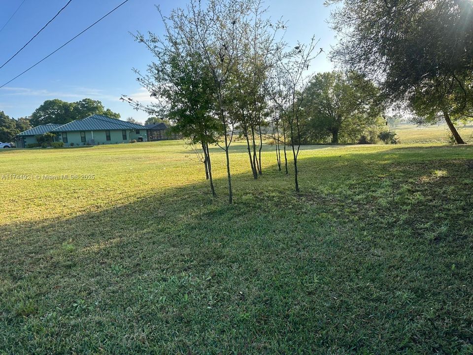 For Sale: $55,000 (0.25 acres)