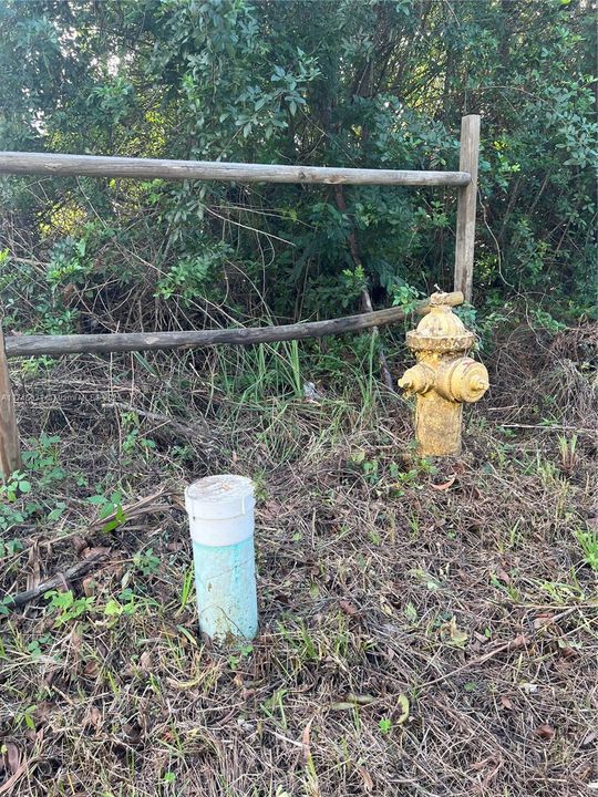 For Sale: $230,000 (0.16 acres)