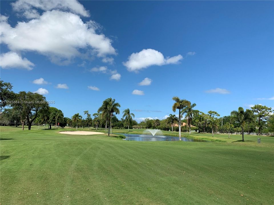Many golf courses near by