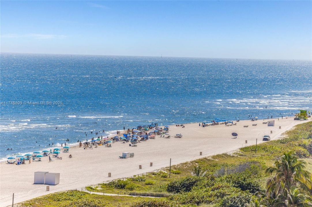 Recently Sold: $5,600,000 (4 beds, 4 baths, 3807 Square Feet)