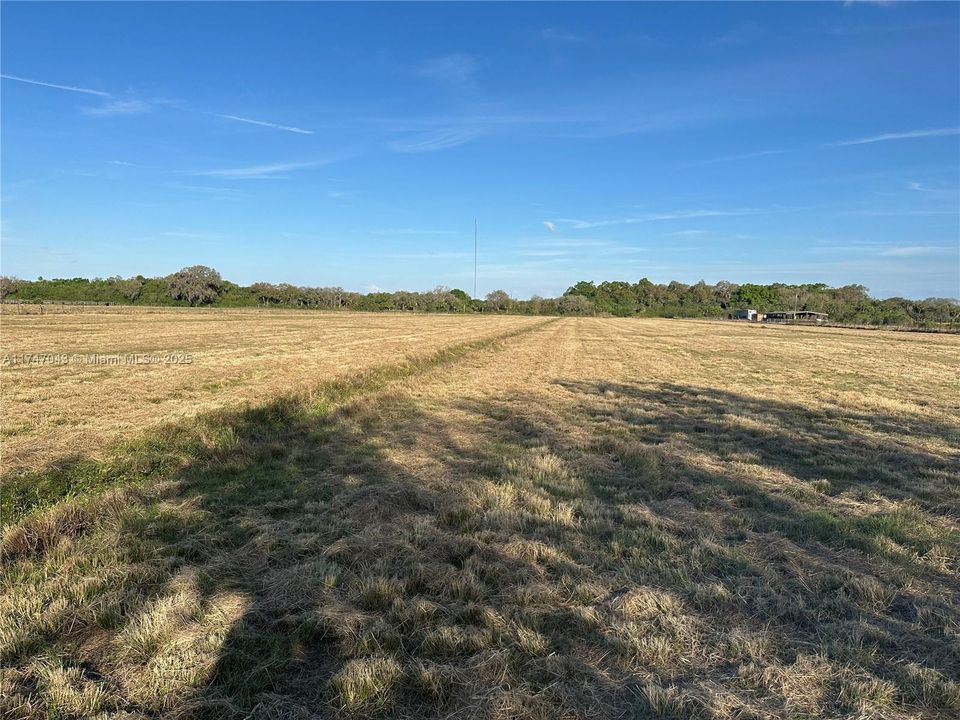 Vendido Recientemente: $250,000 (9.08 acres)