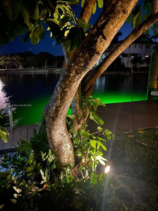 待售: $2,798,000 (5 贝兹, 3 浴室, 3275 平方英尺)