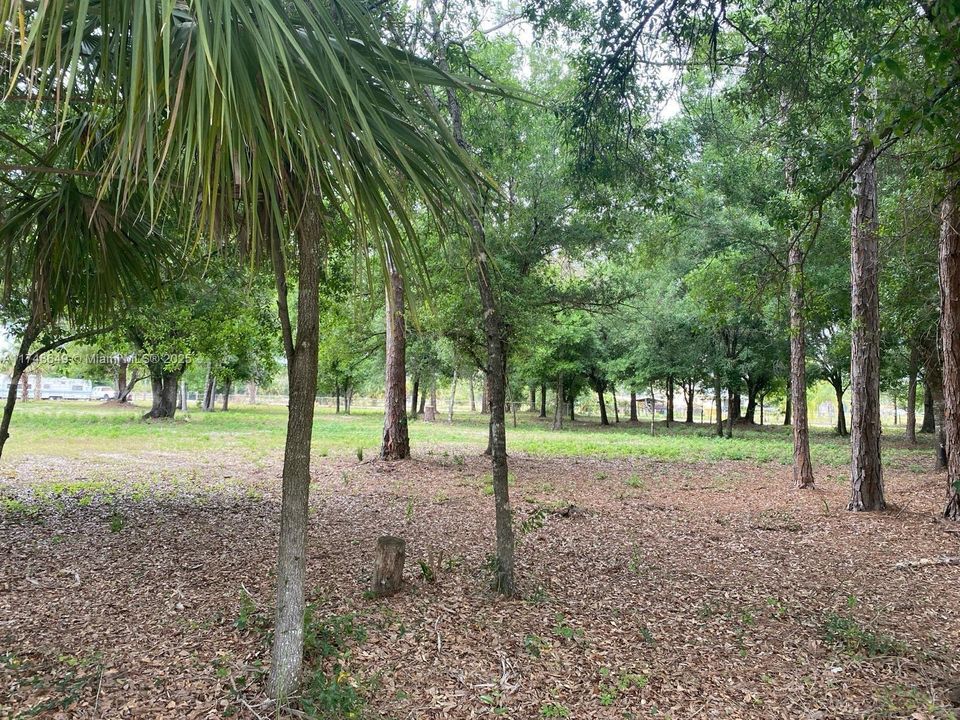 For Sale: $150,000 (2.50 acres)