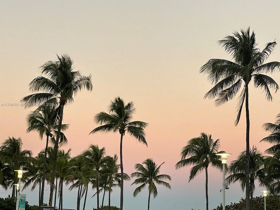 Lummus Park Ocean Drive