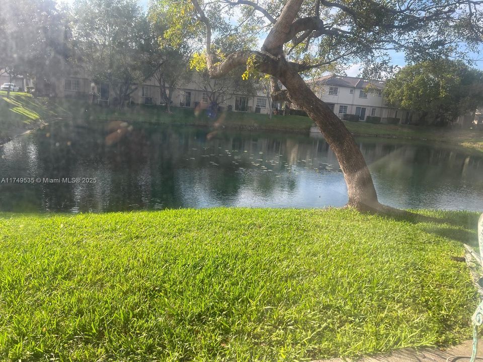 Недавно арендовано: $1,799 (2 спален, 2 ванн, 1206 Квадратных фут)