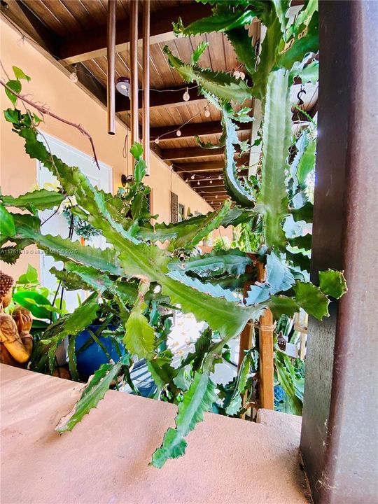 For Sale: $8,150,000 (0 beds, 0 baths, 16826 Square Feet)