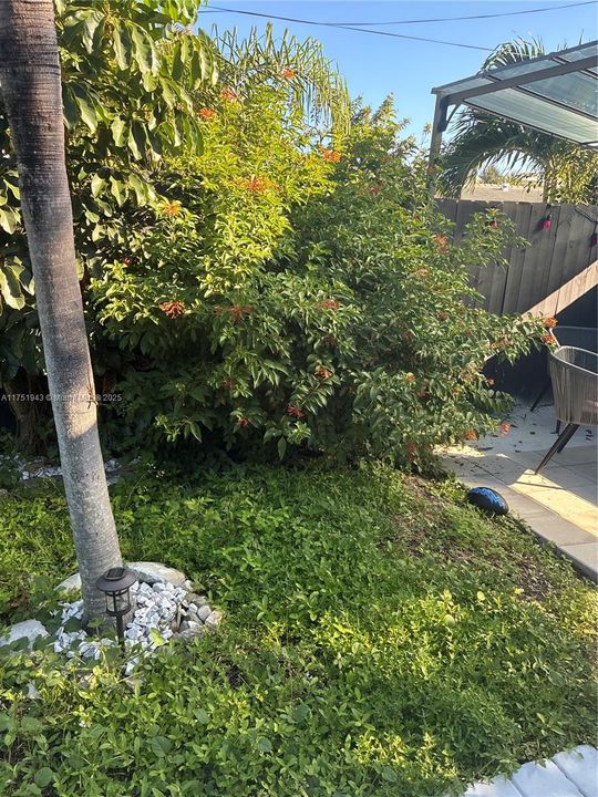 待售: $1,499,999 (3 贝兹, 2 浴室, 1416 平方英尺)