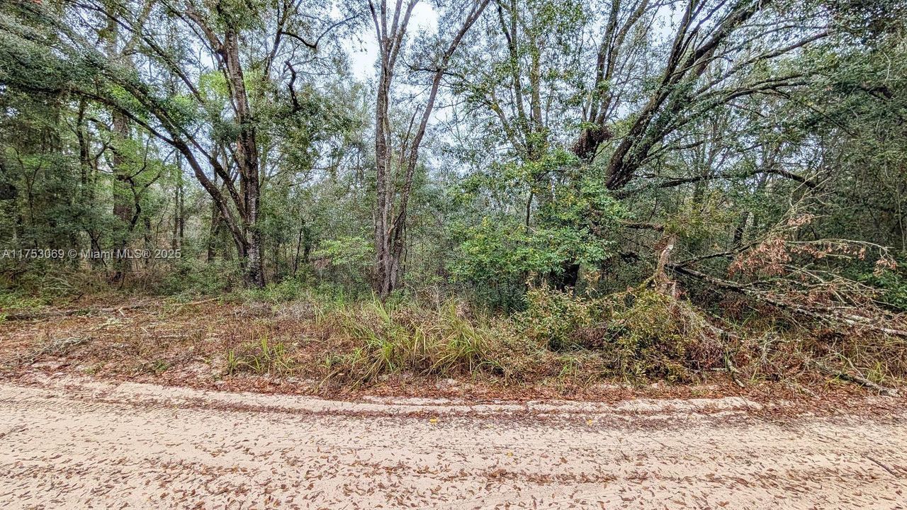 最近售出: $15,500 (0.41 acres)