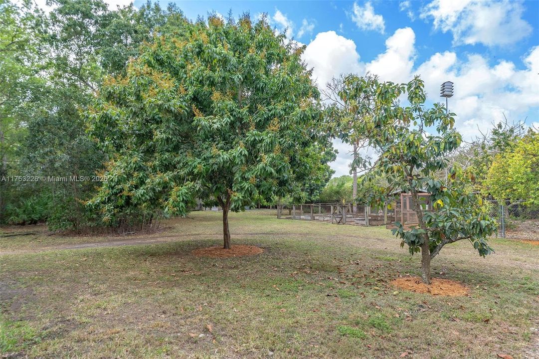 Recently Sold: $999,999 (4 beds, 3 baths, 3094 Square Feet)