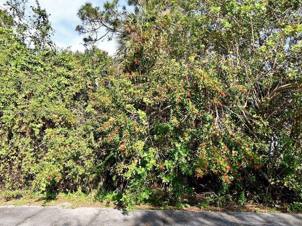 En Venta: $35,000 (0.16 acres)