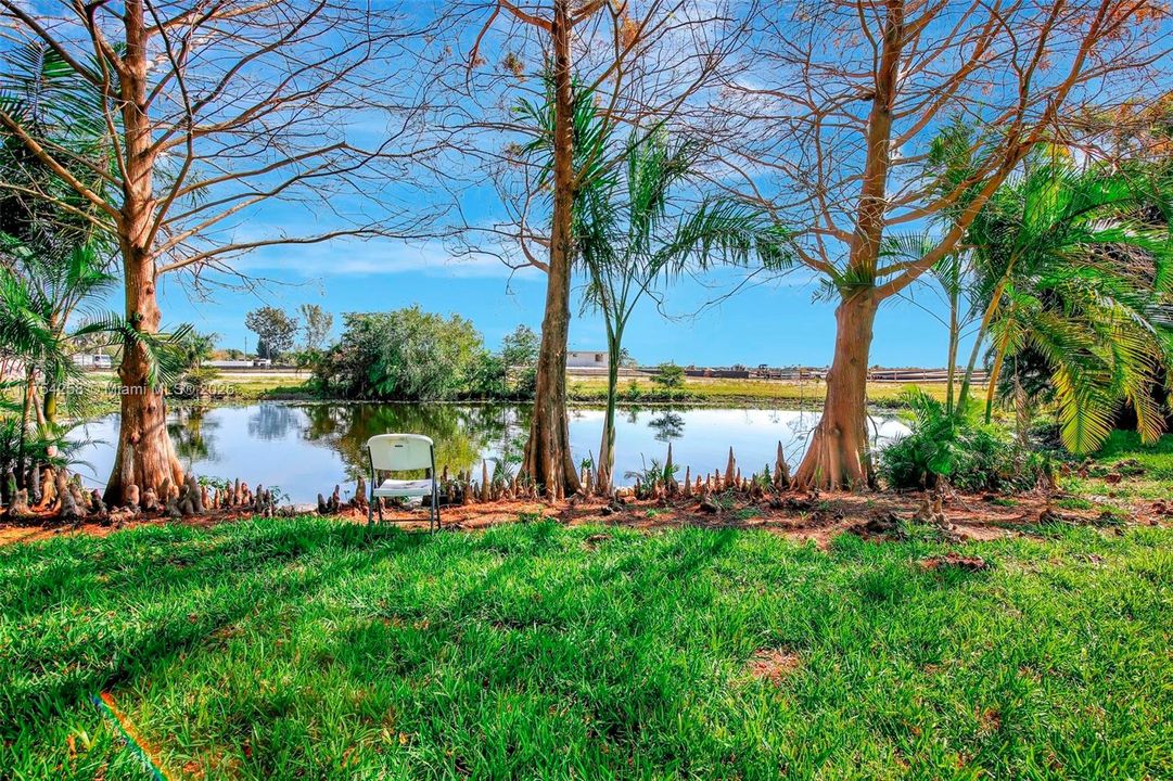 Relaxing private pond at adjacent lot