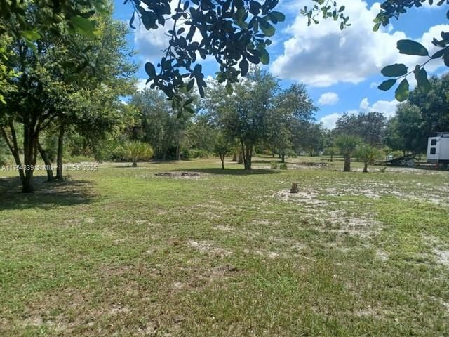 На продажу: $85,000 (1.25 acres)