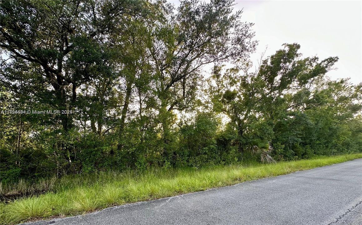 For Sale: $130,000 (4.77 acres)