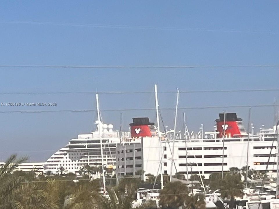 Near Cruises, Port Canaveral