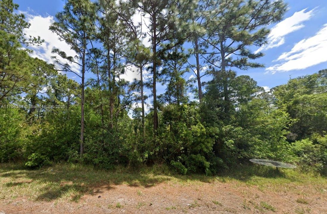 Recently Sold: $23,000 (0.49 acres)