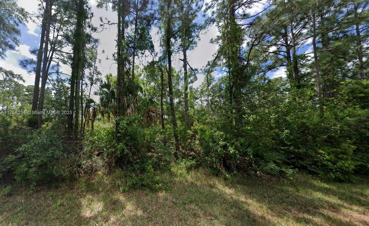 Recently Sold: $23,000 (0.49 acres)