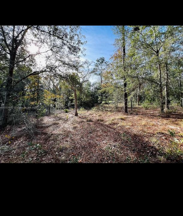 Recently Sold: $30,900 (1.32 acres)