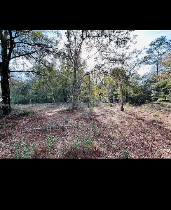 Recently Sold: $30,900 (1.32 acres)