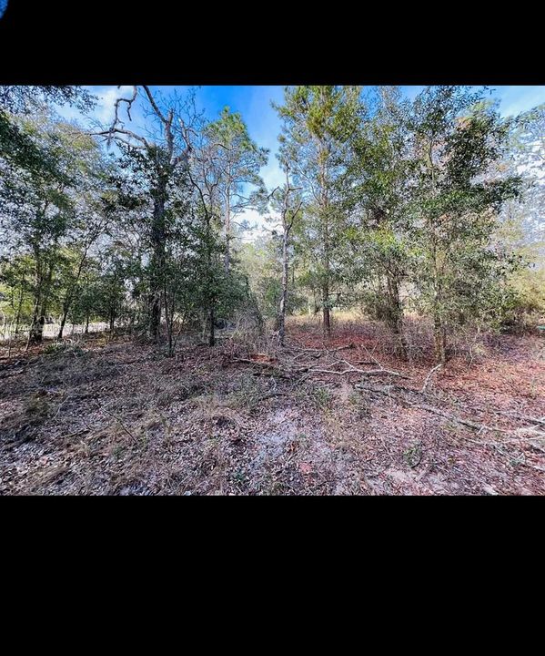 Recently Sold: $30,900 (1.32 acres)