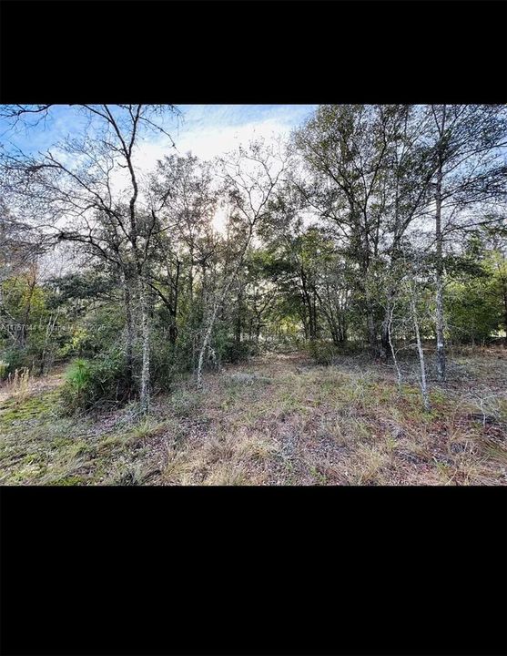 Recently Sold: $30,900 (1.32 acres)