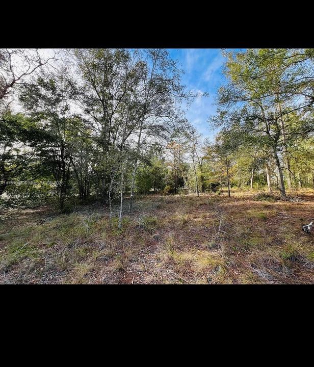 Recently Sold: $30,900 (1.32 acres)