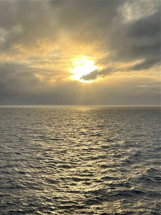 Recently Rented: $1,950 (1 beds, 1 baths, 647 Square Feet)