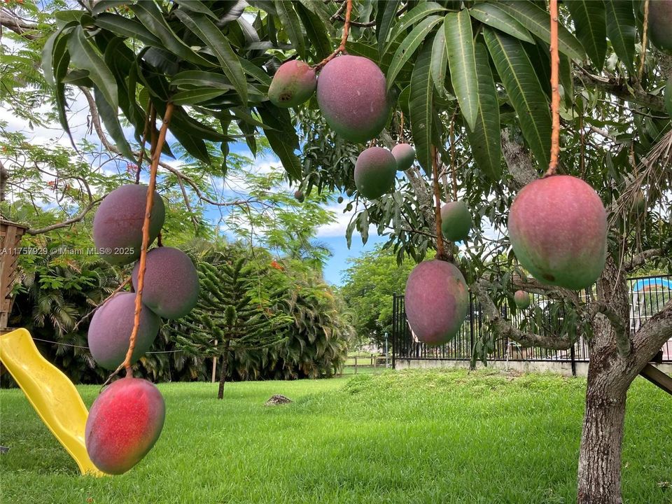 最近售出: $1,620,000 (4 贝兹, 3 浴室, 3328 平方英尺)