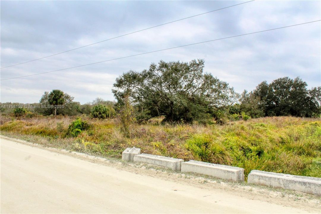 待售: $40,000 (1.25 acres)
