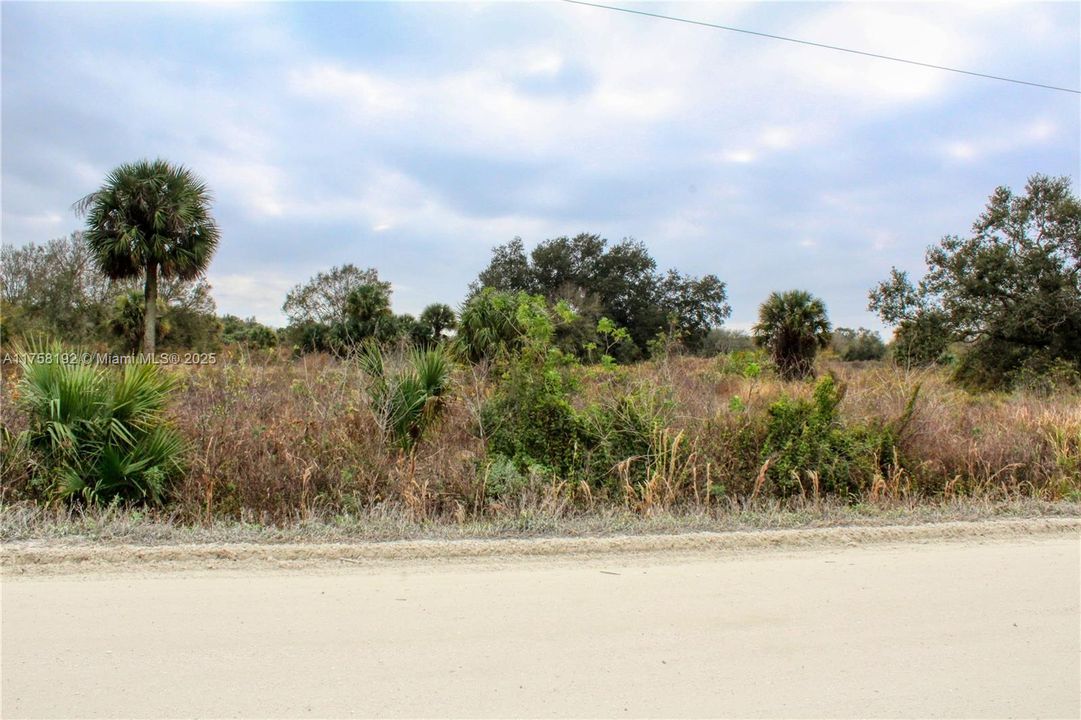 待售: $40,000 (1.25 acres)