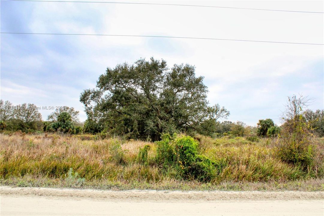 待售: $40,000 (1.25 acres)