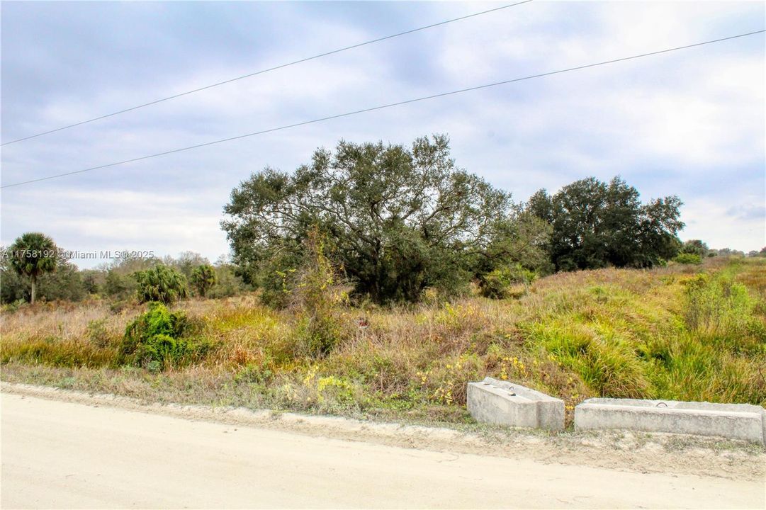 待售: $40,000 (1.25 acres)