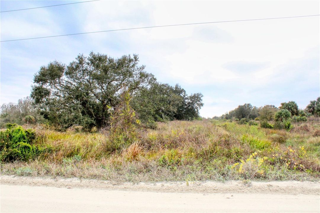 待售: $40,000 (1.25 acres)