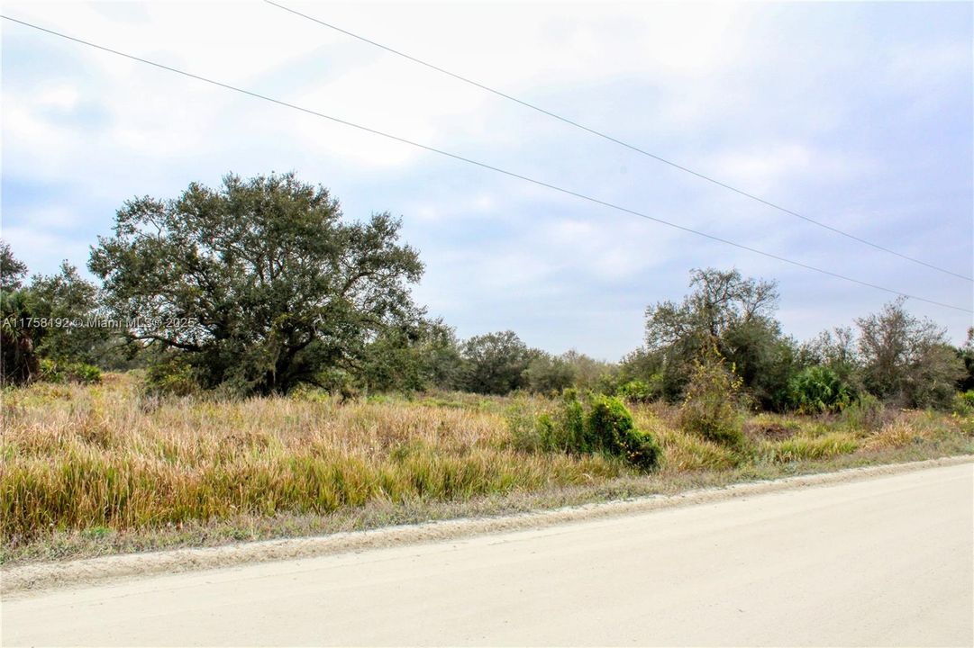 待售: $40,000 (1.25 acres)