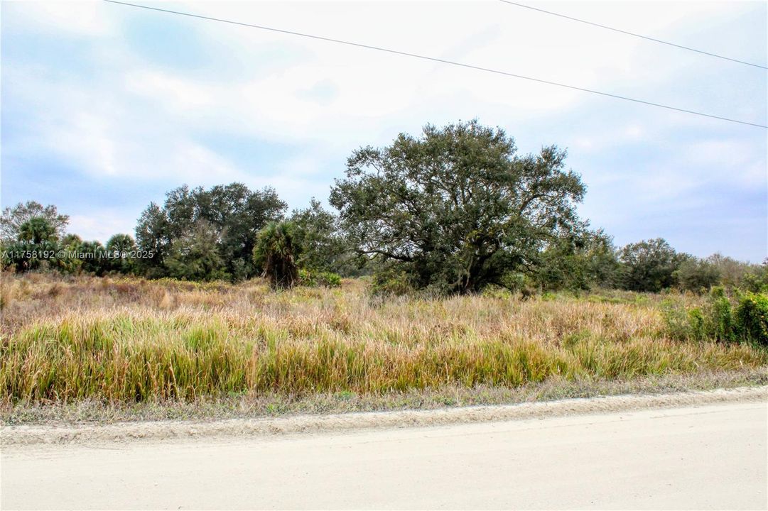 待售: $40,000 (1.25 acres)