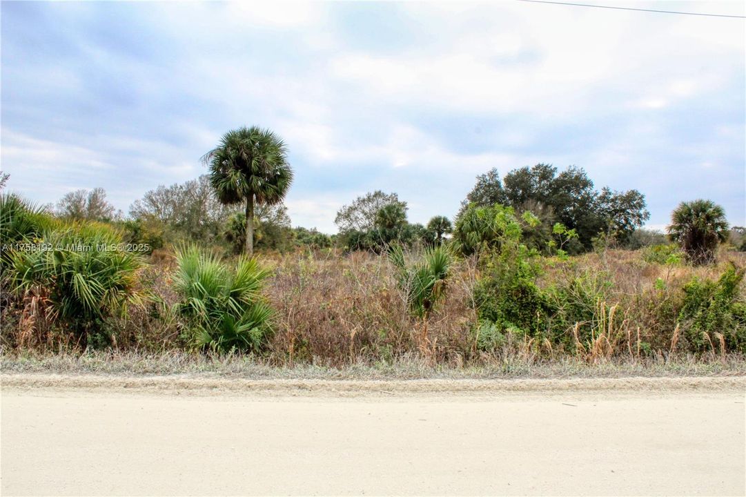 待售: $40,000 (1.25 acres)