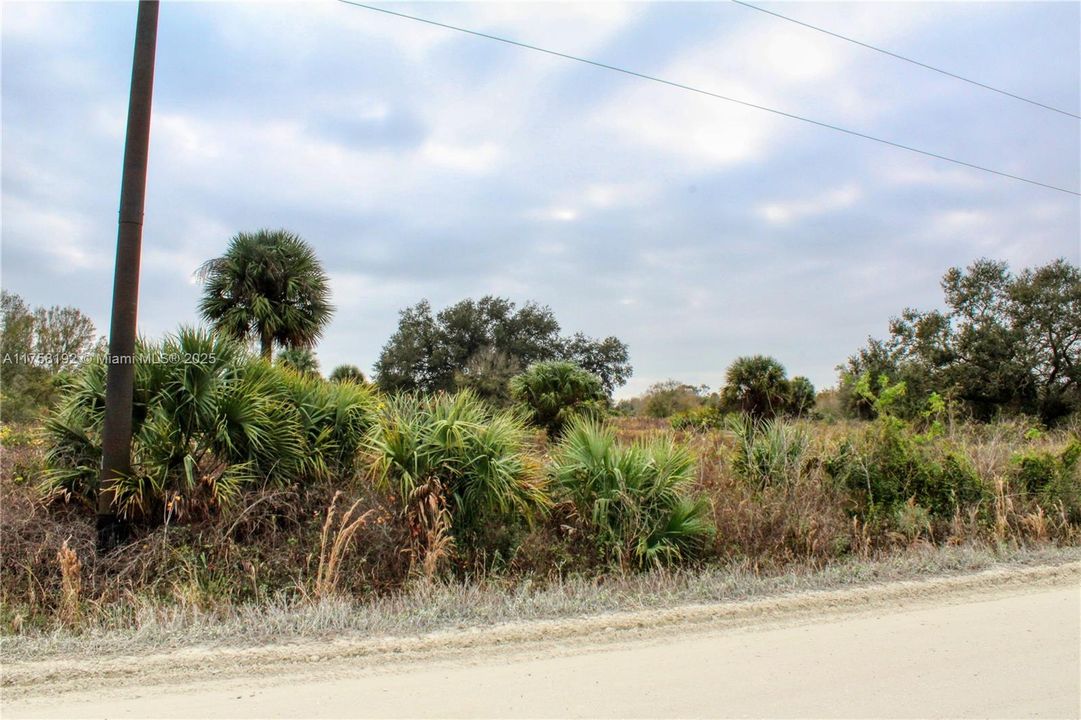 待售: $40,000 (1.25 acres)