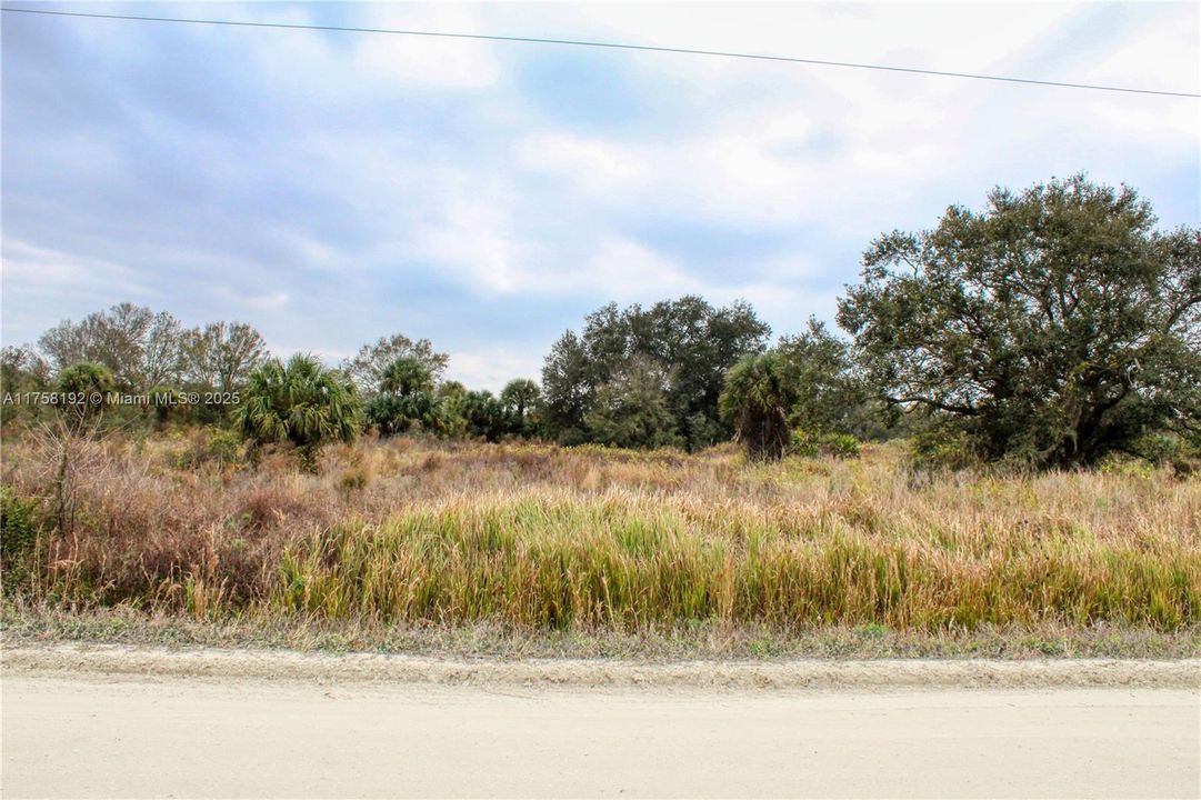 待售: $40,000 (1.25 acres)