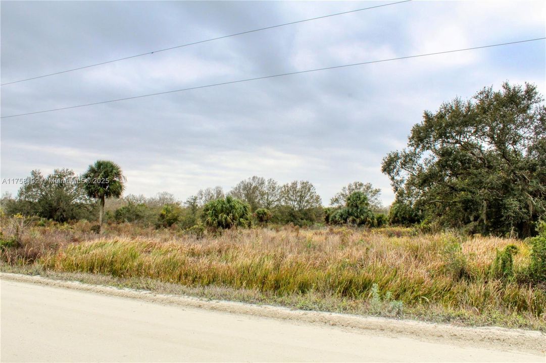 待售: $40,000 (1.25 acres)