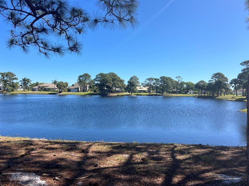 Lake across the street