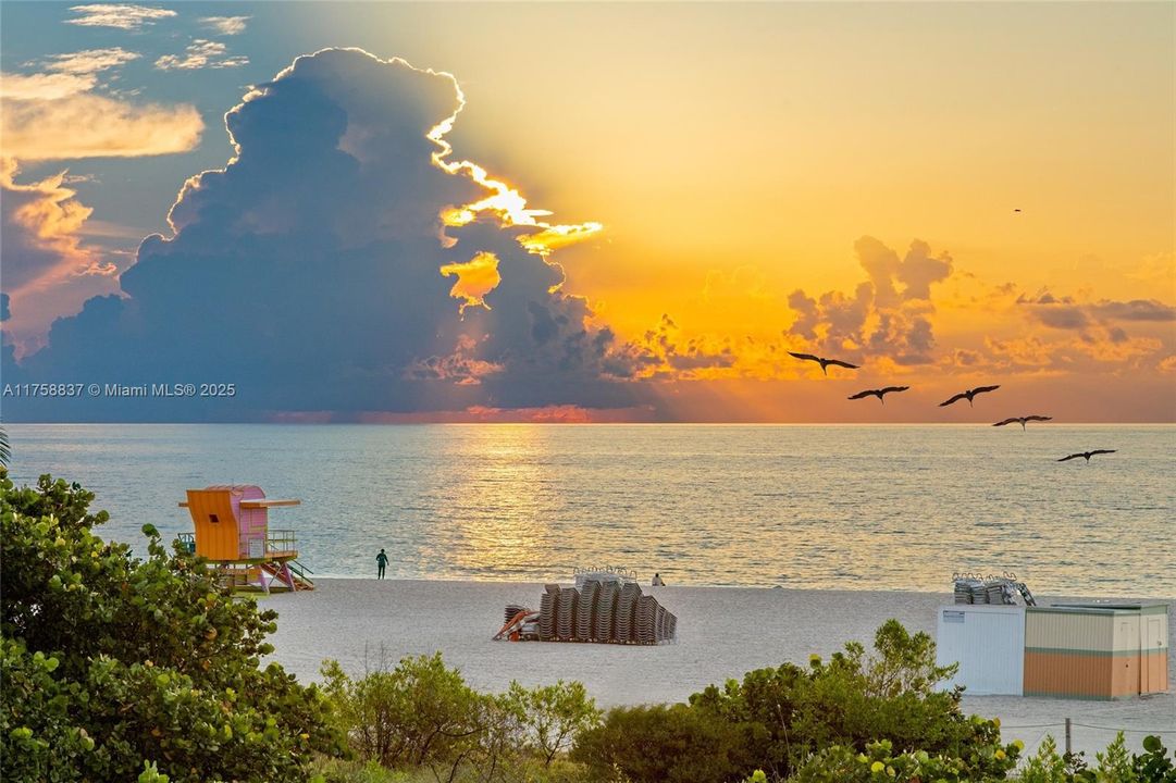 Vendido Recientemente: $4,499,000 (3 camas, 3 baños, 2580 Pies cuadrados)