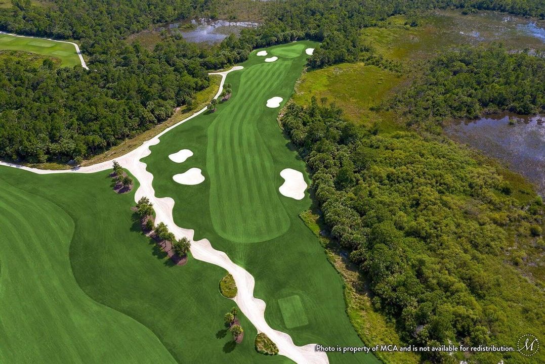 Golf Course 5