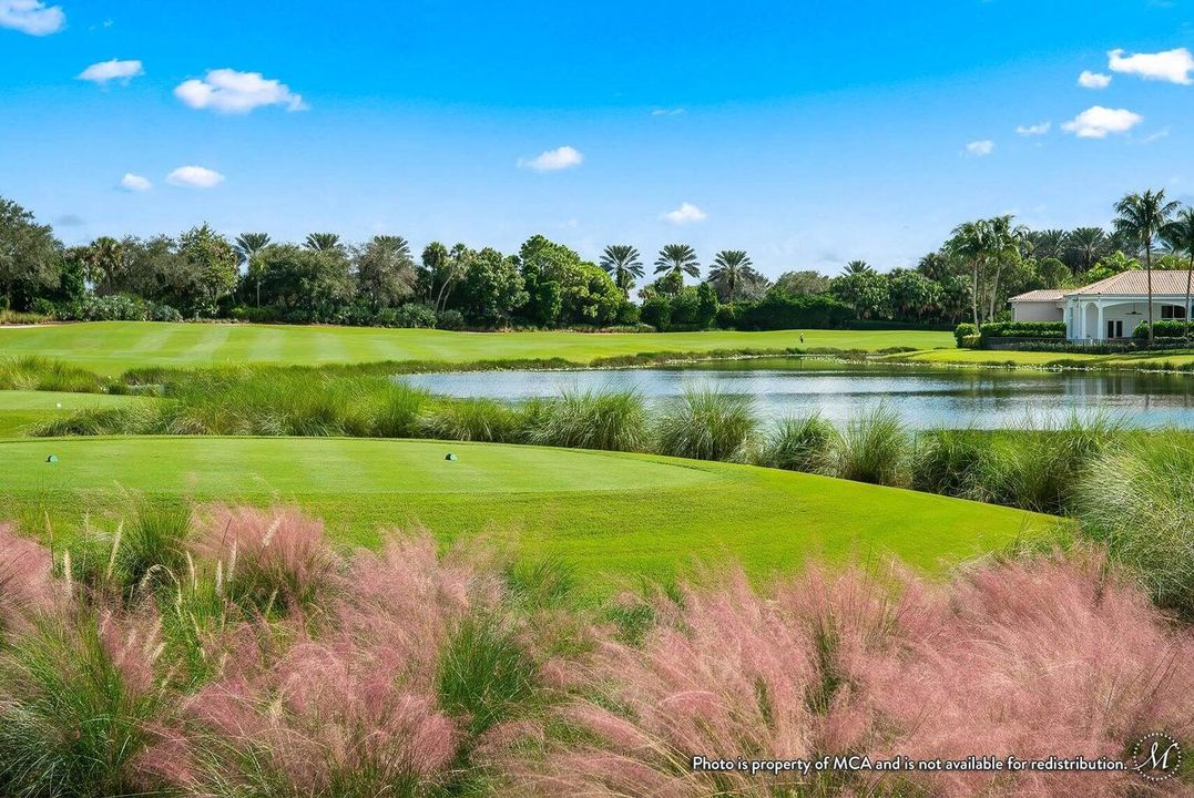 Golf Course 4