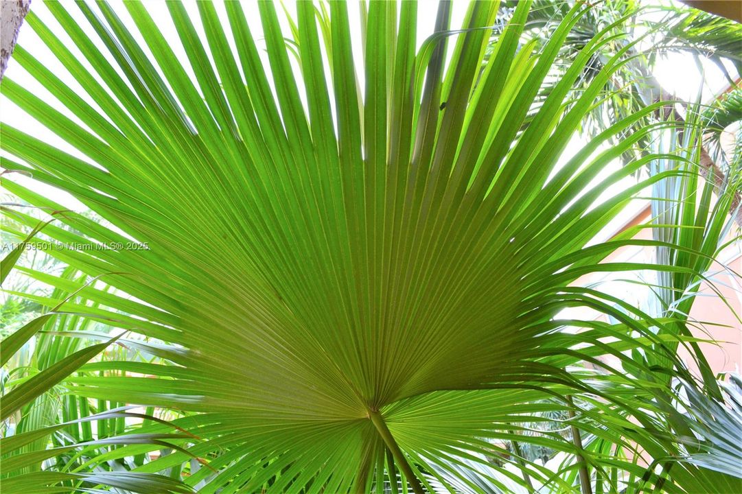 Beautiful landscaping throughout the community!