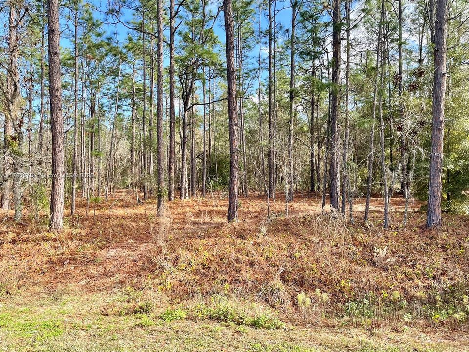 For Sale: $75,000 (1.16 acres)