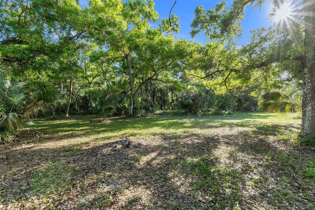 32-web-or-mls-DSC03590