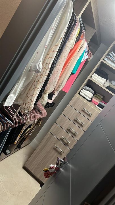 Guest Bedroom Walk in closet